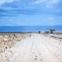 TZA SHI SerengetiNP 2016DEC25 RoadB144 017 : 2016, 2016 - African Adventures, Africa, Date, December, Eastern, Month, Places, Road B144, Serengeti National Park, Shinyanga, Tanzania, Trips, Year